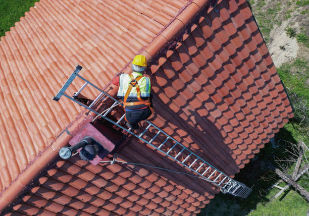 Roof Moss and Algae Removal in Beach City, TX